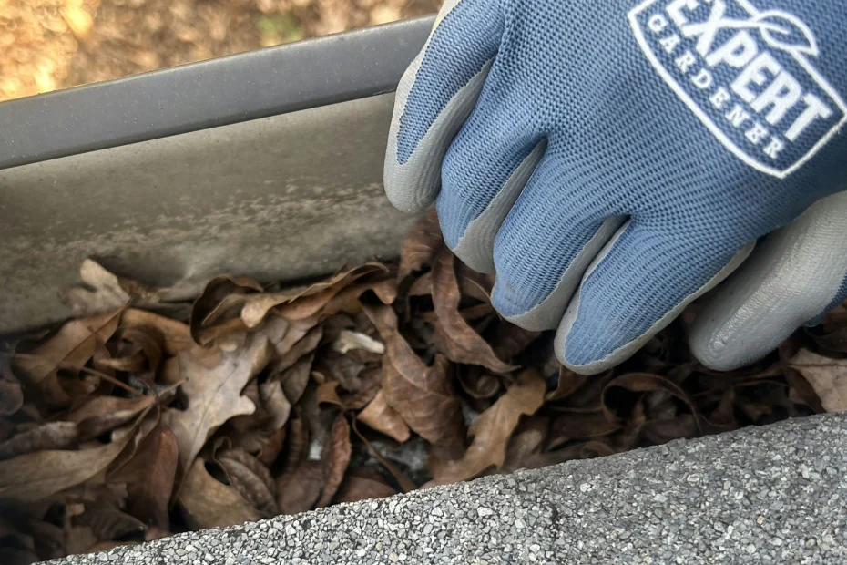 Gutter Cleaning Donaldsonville