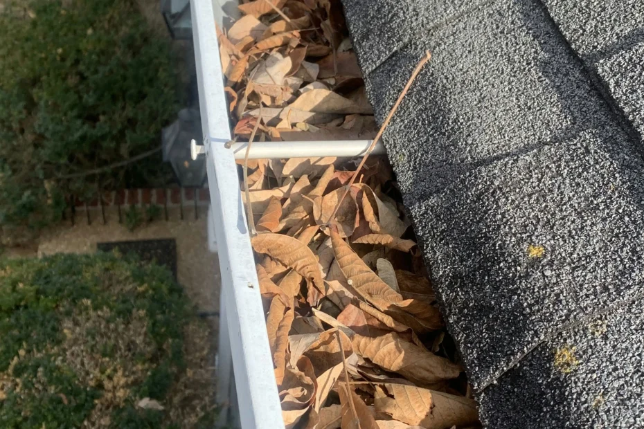 Gutter Cleaning Donaldsonville