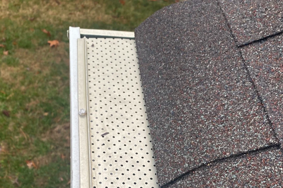 Gutter Cleaning Donaldsonville