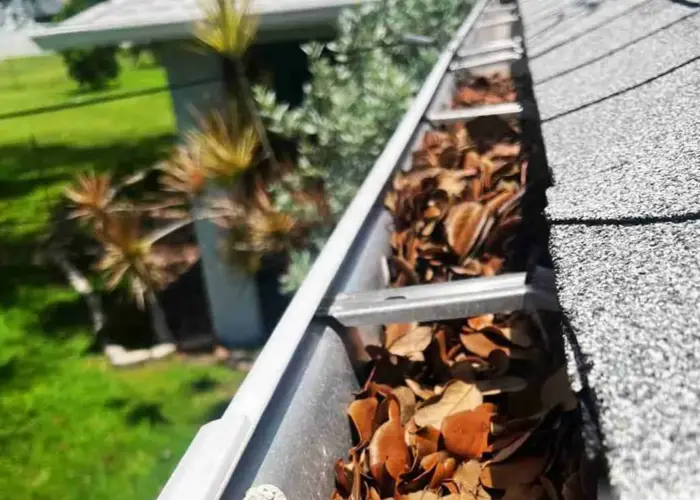 Gutter Cleaning Donaldsonville home page